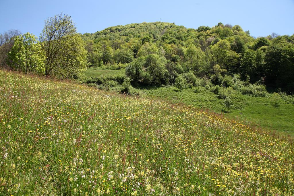 Roulottes Montagne Pyrenees Ξενοδοχείο Luz-Saint-Sauveur Εξωτερικό φωτογραφία